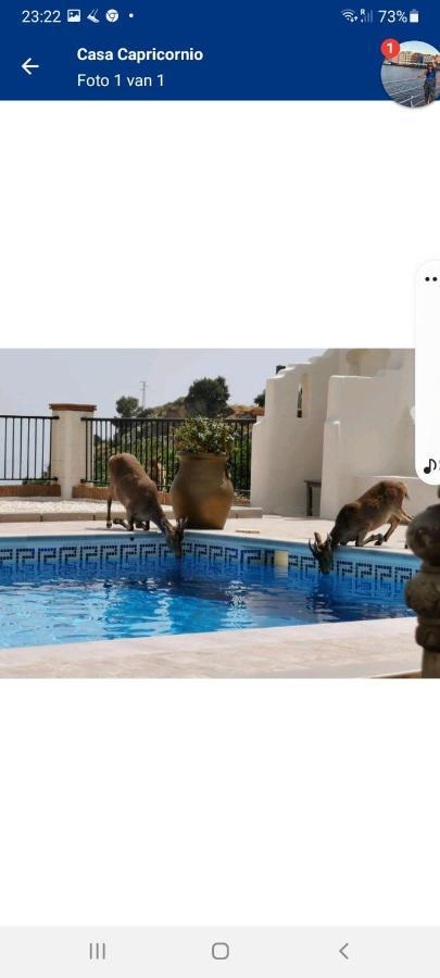 לינה וארוחת בוקר מארבלה Casa Capricornio מראה חיצוני תמונה
